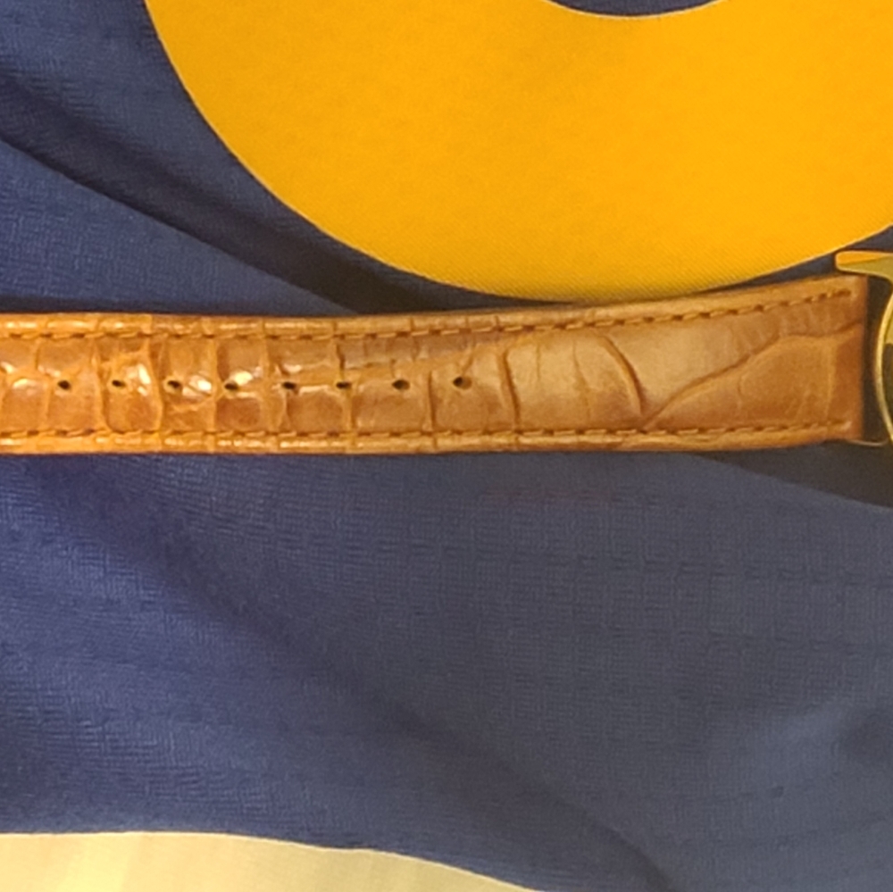 America Perry Ellis Watch - Picture 3 of 16